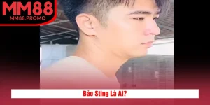 Bảo Sting Là Ai?