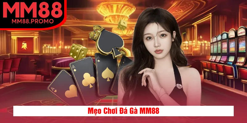 Mẹo Chơi Đá Gà MM88