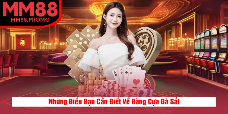 Những Điều Bạn Cần Biết Về Băng Cựa Gà Sắt Những Điều Bạn Cần Biết Về Băng Cựa Gà Sắt