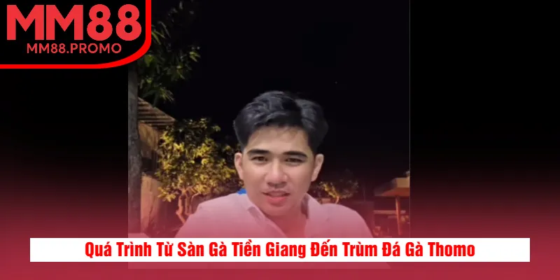 Quá Trình Từ Sàn Gà Tiền Giang Đến Trùm Đá Gà Thomo
